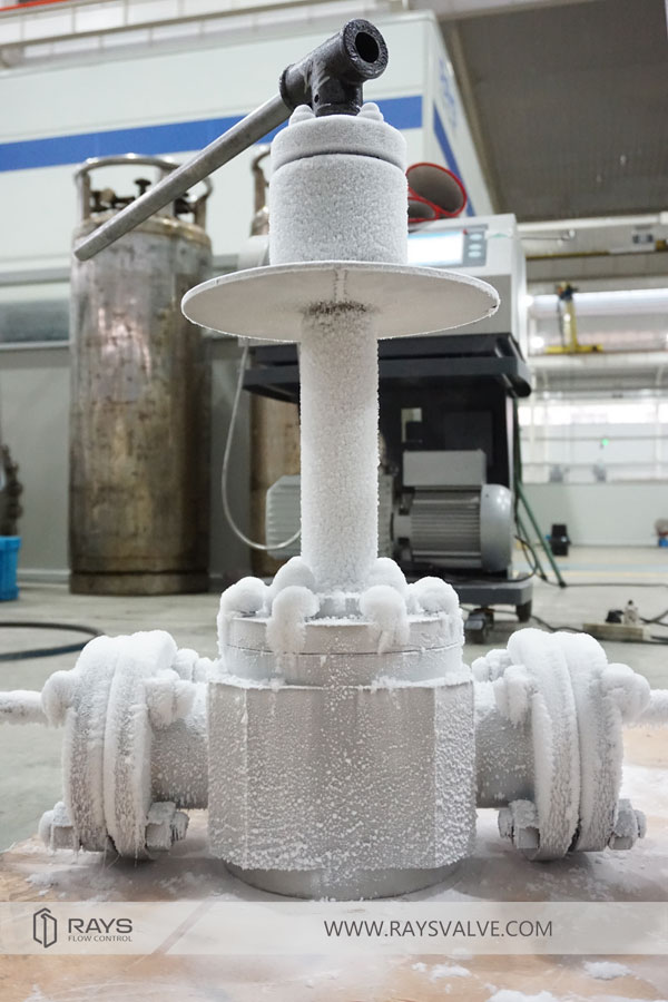 Top Entry Cryogenic Ball Valve